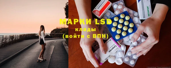 дживик Бородино