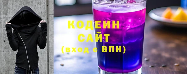 дживик Бородино