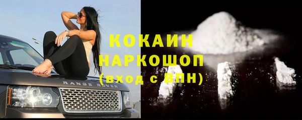 дживик Бородино