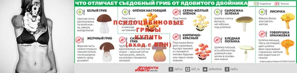 дживик Бородино