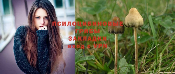 дживик Бородино