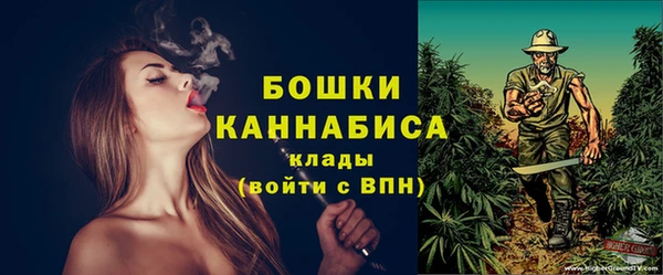 дживик Бородино