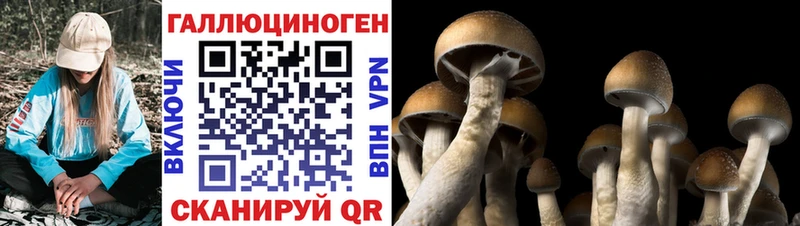 Галлюциногенные грибы мицелий  Купить  Яблоновский 